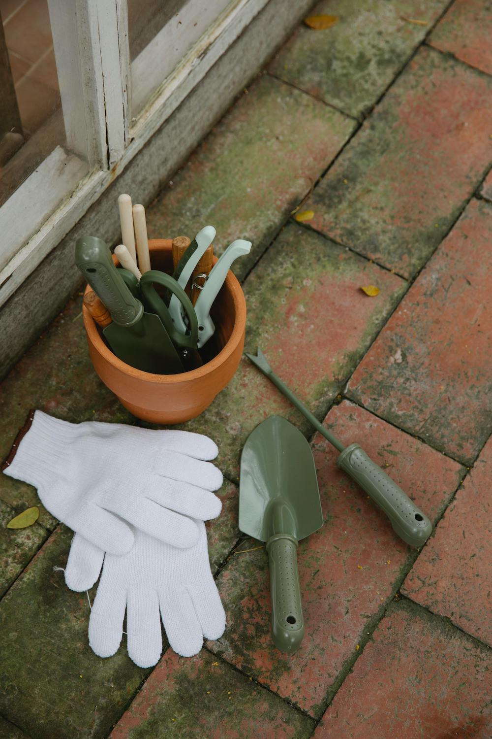 New to gardening? Here's a list of the best gardening tools for beginners that everyone should have when planting in their backyard or patio!