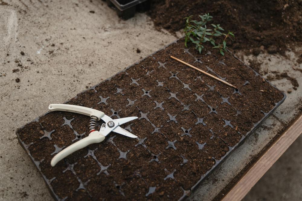 New to gardening? Here's a list of the best gardening tools for beginners that everyone should have when planting in their backyard or patio!